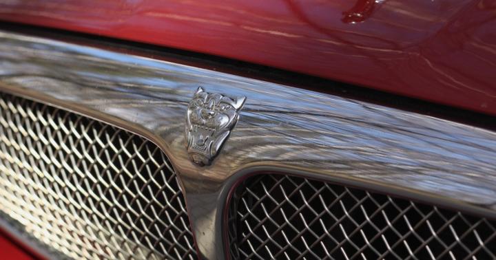 Jaguar X-Type – оригинальный кот